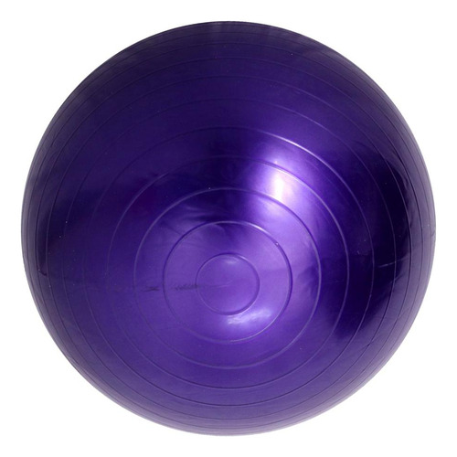 Wpd Pelota De Ejercicio Pelota De De Fitness Anti-explosión