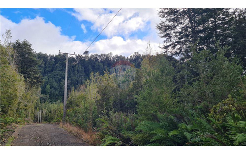 Parcela Con Bosque Nativo En Puerto Varas