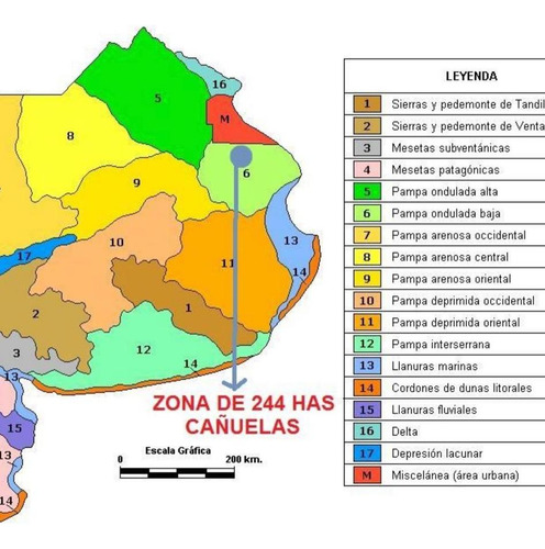 Venta - Campo De 244 Hectáreas En Cañuelas, Ideal Para Ganadería Y Agricultura