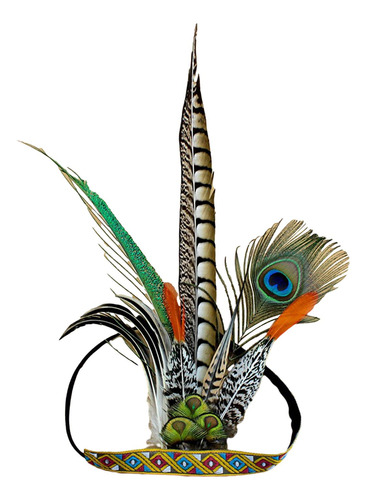 De Plumas, De Inspiración India, Diadema Para Para Niños