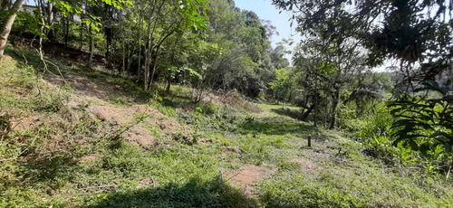 Chácara Com Casa Na Margina Da Br 376