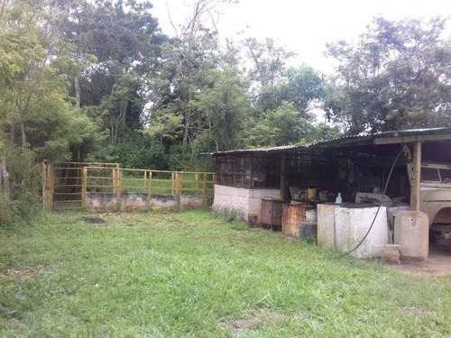 Imagen 5 de 14 de Venta Finca 67 Hectáreas Nigua Yaracuy Oportunidad Cod. 8973