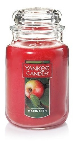 Vela Aromática Large Jar Macintosh Yankee Candle