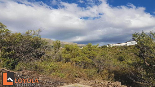 Imagen 24 de 30 de Carpintería, Lotes De 5000 M2