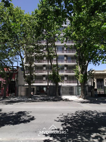 Imagen 8 de 30 de Ventura 810 | Local Comercial En La Blanqueada | A Estrenar | Sobre Avenida 8 De Octubre