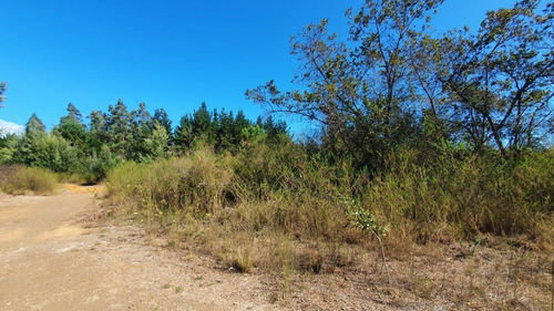 Gran Terreno Para Inversion, Ubicado En Idahue