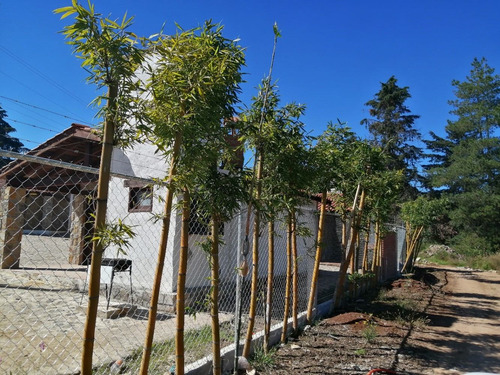 Imagen 4 de 12 de Terreno En Huasca De Ocampo Hgo. Junto A Rancho San Fco.