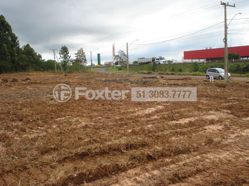 Imagem 5 de 9 de Terreno, 2000 M², Centro - 147535