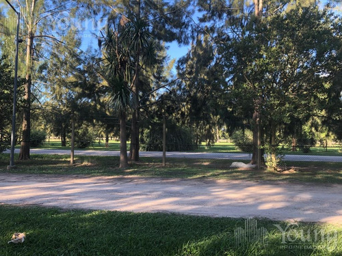Imagen 4 de 19 de Retazado Terreno Proyecto Aprobado - Campos De Roca L