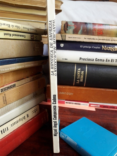 La Hipoteca De Empresa O Negociación Mercantil