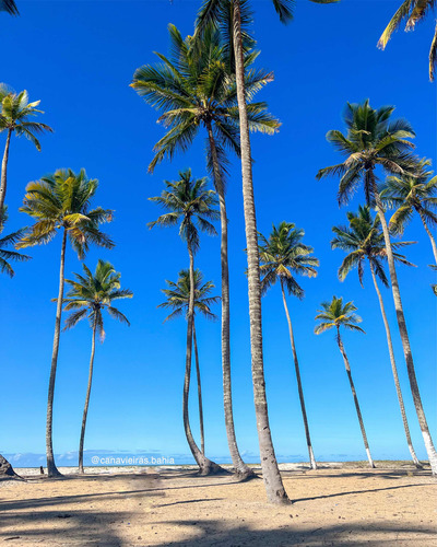 Vende-se Cabana Pé Na Areia Na Praia De Canavieiras, Bahia