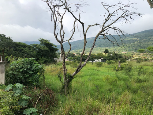 Terreno En Venta En Viva Cardenas