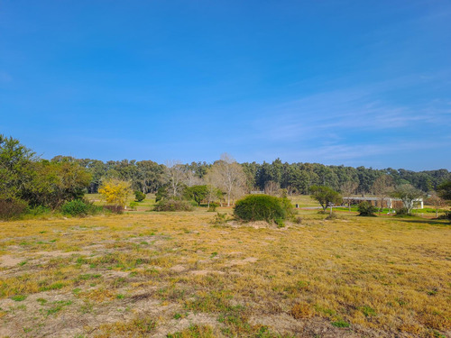 Oportunidad Gran Lote Interno De 3556 M2 Muy Lindas Vistas En Venta - Carmelo Golf