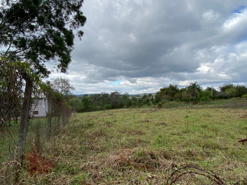 Chácara 10.000 M² - Lomba Grande - Novo Hamburgo - Rs - 2117 - 33898402