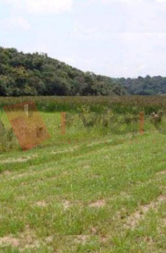 Imagem 5 de 8 de Terreno - 1814 - 32471957