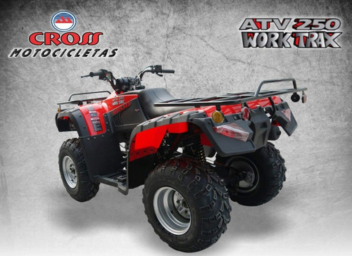 Imagen 9 de 9 de Cuatrimotos 250cc Mecanicas Con Cardan 0 Klm 2021