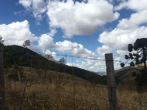 Imagem 14 de 24 de Chácara À Venda, 2800 M² Por R$ 80.000 - Zona Rural - Caldas/mg - Ch0126