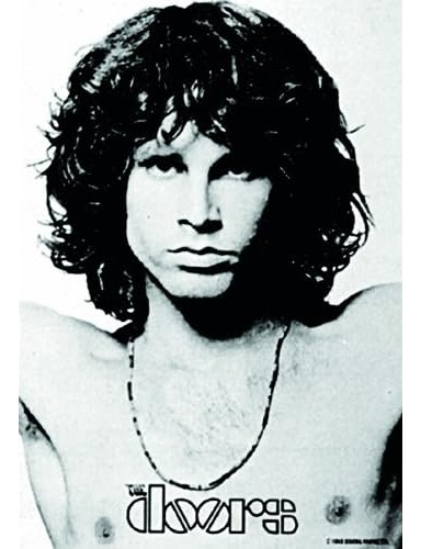 Jim Morrison Open Arms Wall Poster Aesthetic, Fabric Po...