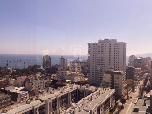 Gran Departamento Con Vista Poniente, Amoblado