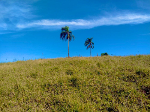 Imagem 15 de 20 de A23d- Compre Seu Terreno De 1.000m² Para Sitio!