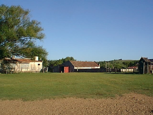 Imagen 5 de 6 de 330 Has Ganaderas En Lavalleja, Molles De Aiguá.