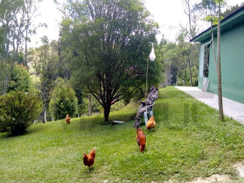 Imagem 25 de 29 de Chácara À Venda Em Juquitiba Com Ótima Localização E Vizinhança! - 260 - 34692812