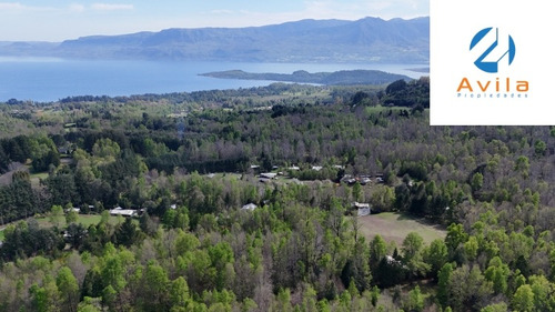 Pucón Villarrica Parcela En Candelaria 1 Ha. Cod.vtap188