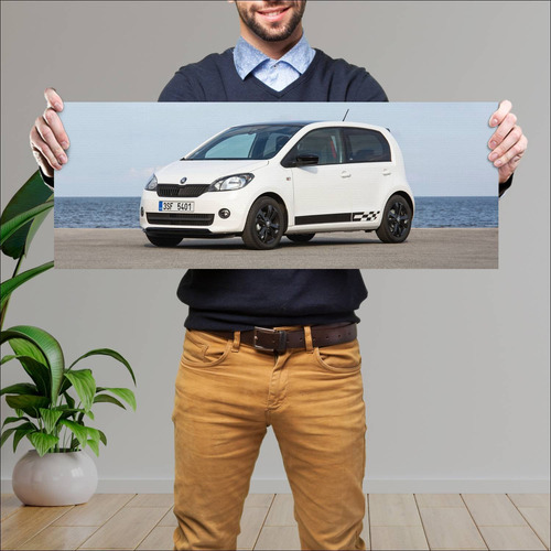 Cuadro 30x80cm Auto 2014 Skoda Citigo Monte Carl 200