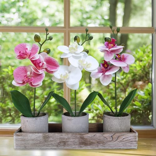 Set 3 Orquídeas Artificiales En Maceta Madera, Falaenopsis D