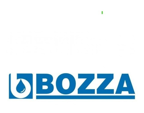 Imagen 5 de 5 de Bomba De Transferencia Para Diesel 110v Bozza