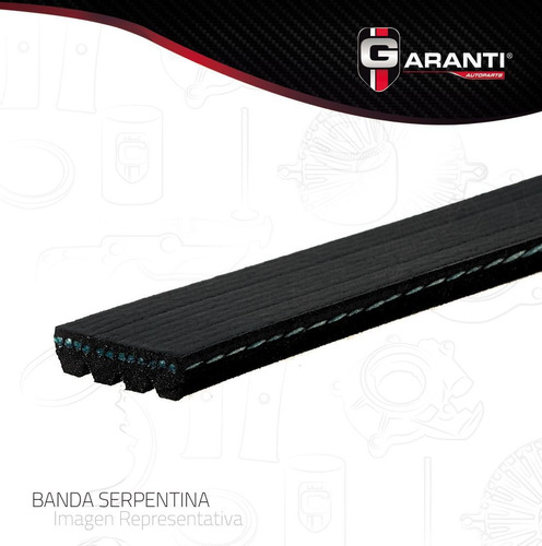 Banda V Para Mitsubishi Montero Sport 1997 - 1999 (garanti)