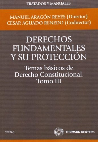 Derechos Fundamentales Y Su Protección. Temas Básicos De Der