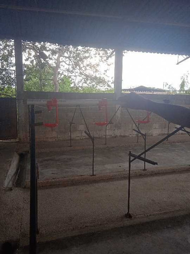 Imagen 14 de 30 de En Venta Finca Avicola Y Conejera Con Fondo De Comercio Para Embutidos