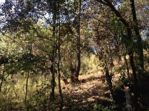 Imagen 5 de 7 de Terreno En Venta En San Bartolo, Amanalco