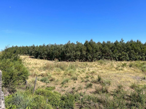 Venta Colonia Campo De 150 Ha