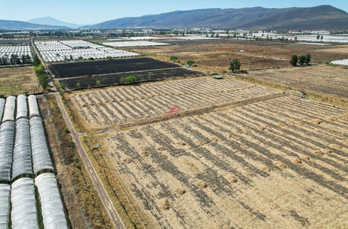 Terreno En Venta Ribera De Chapala, Jalisco