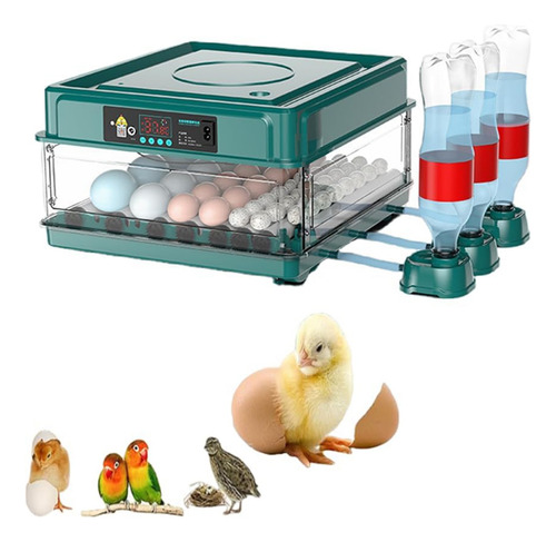 Incubadora De 48 Huevos Que Automatiza La Rotación De Huevos