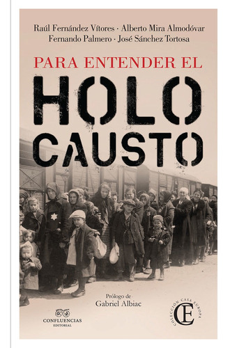 Para Entender El Holocausto, De Fernández Vitores. Editorial Confluencia (w), Tapa Blanda En Español