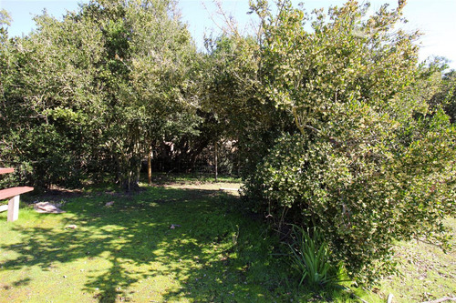 Excelente Parcela En Venta En Quilpué