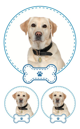 Labrador Juego De 3 Calcomanias De Tu Mascota Favorita Niño