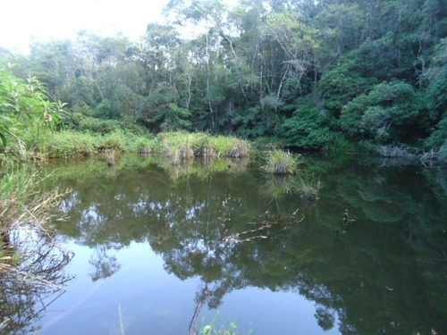 Imagem 2 de 10 de Lindo Terreno Com Lago Ref 874