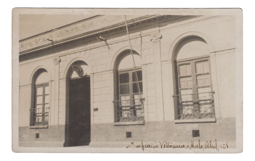 1928 Melo Postal Foto Real Oficina De Inspeccion Veterinaria