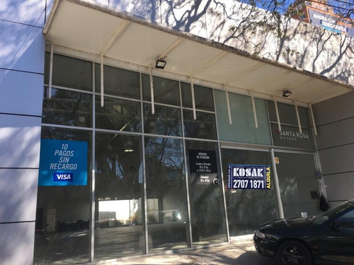 Alquiler Local Comercial En Zona Wtc