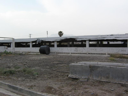 Terreno En Venta En León Guzmán, Lerdo, Durango