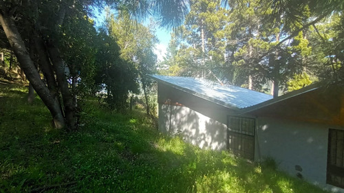 Imagen 8 de 17 de Chacra Con Casa - Oportunidad- En El Bolsón