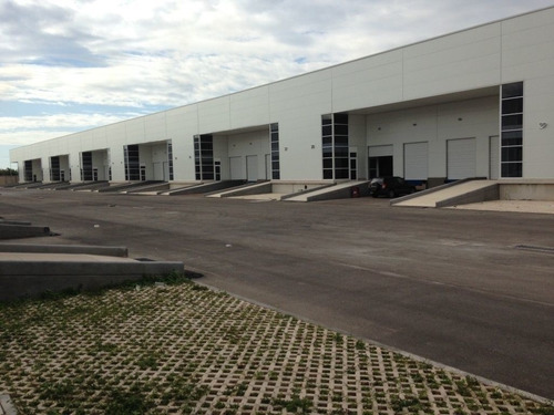 Imagen 5 de 14 de 4,550 M2 Merida Periferico Pte Complejo Industrial Mbp Bode
