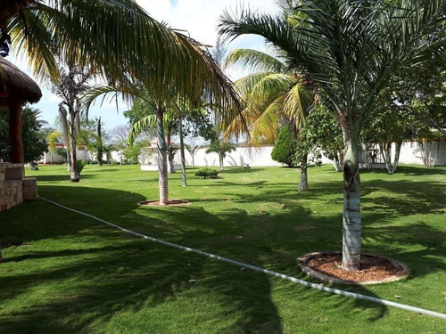 Imagen 4 de 20 de Venta!! Quinta Con Terreno De 5.7 Ha En Conkal, Sobre Carret