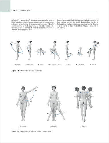 Eva Atlas De Anatomia