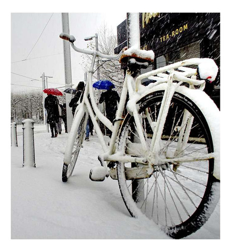 Vinilo 60x60cm Bicicleta Transporte Invierno Winter Ice P5