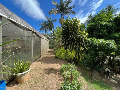 Imagem 29 de 30 de Chácara 2048m2, Casa Sede, Loja, Depósito, Viveiro De Plantas Com Estufa, Acesso Asfaltado, Poço Caipira, Ótima Localização - Ch00256 - 70814196